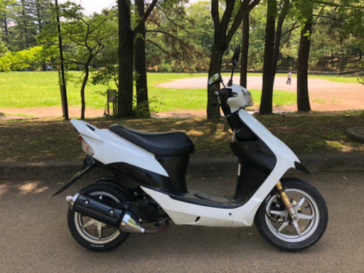 スズキ　ZZ ジーツー　SUZUKI  人気のホワイト