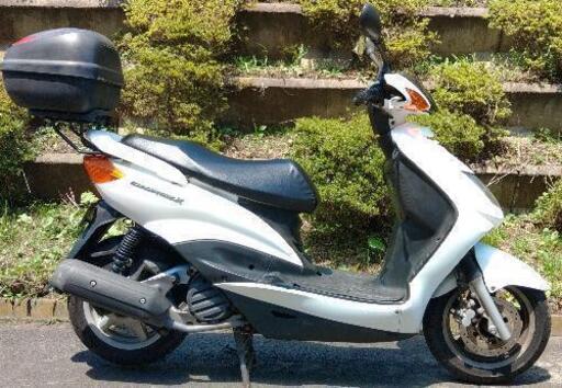 シグナスX　(1438)