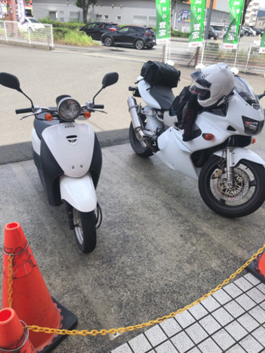 左の白のtodayです