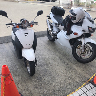 左の白のtodayです