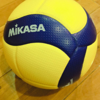 メンバー募集🏐🌟