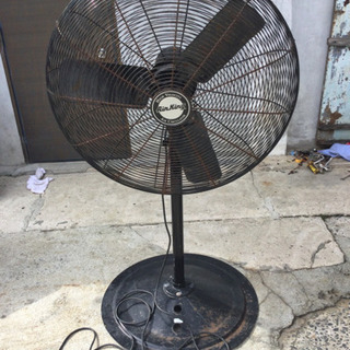 大きい 扇風機の画像