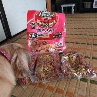 ドッグフードの画像