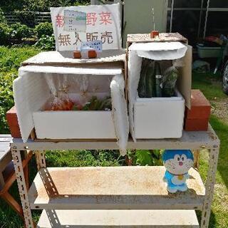 苗や野菜の路地販売（無人）します