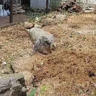 枯山水の石 