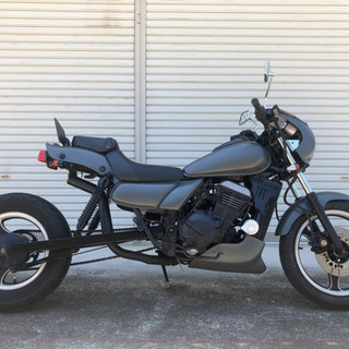 KAWASAKI❗️エリミネーター250SE ロンスイ　オールペイント