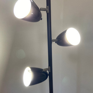 【無料です！】スタンドライト！！の画像