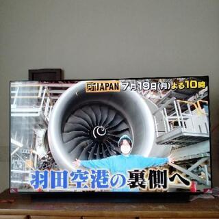 LG  有機 EL テレビ