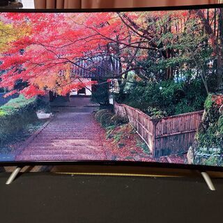 48V型 地上・BS・110度CS曲面テレビ　JOY-48TVMHL