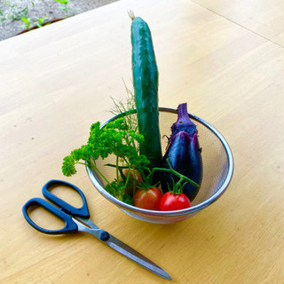 初心者大歓迎🌟家庭菜園なお料理教室🍅🌽🍆の画像