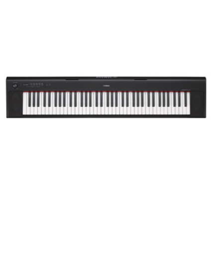 【美品】ヤマハpiaggero NP-32B(ブラック)