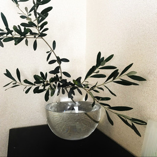 球形のガラスの花瓶