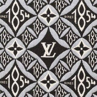 お買い得‼️非常に入手困難‼️【新作2021SSコレクション品LV2WAY】正規品の画像