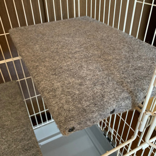 猫用ケージ　品川区直接引取希望の画像