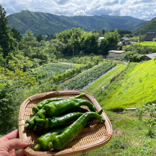 農地貸します♪京丹波町　2万〜相談