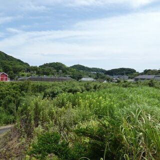 枕崎市宮田町【売地】地目原野道路高低差あり約198坪100万円 − 鹿児島県