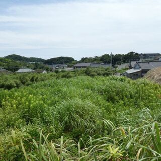 枕崎市宮田町【売地】地目原野道路高低差あり約198坪100万円 - 不動産