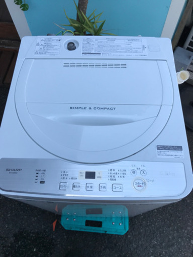 ◆美品！高年式◆SHARP 全自動洗濯機 2019年製 5.5kg ES-GE5C 動作品 説明書付 シャープ