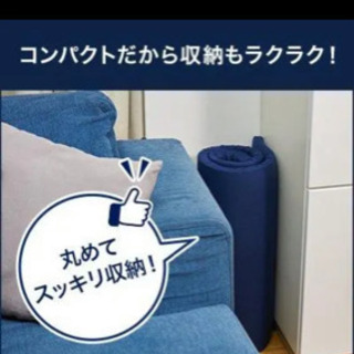 新品未開封　ミニトゥルースリーパー　ごろ寝マット