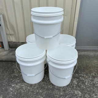 数量限定❗️体外光　ラメ光　メダカ容器　白ペール缶　激安　メダカ