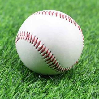 野球観戦できる方募集⚾️