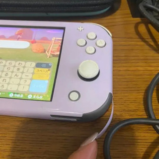 Nintendo Switch 任天堂スウィッチライト　グレー　ケース付きの画像