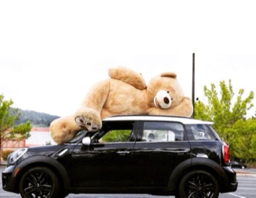 【正規品】COSTCO テディベア2 236センチ