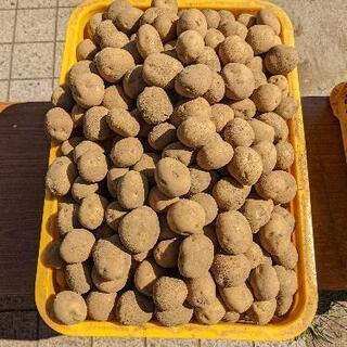 【完全無農薬野菜】になります！！の画像