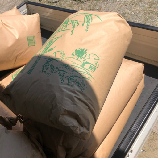 【減農薬】お米 30kg