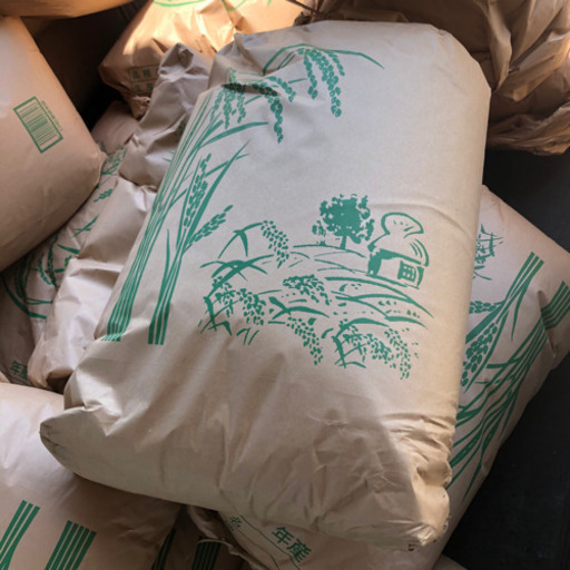 【減農薬】お米 30kg