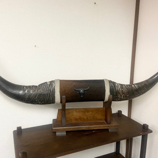 中古 水牛の角 昭和 骨董 インテリア 角 置物 和室 床の間 ①