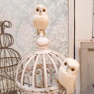 【お取引完了】仲良し😃🍒😃白フクロウのきょうだい🦉セットで