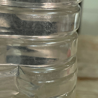 メダカ餌　臭わないゾウリムシ　針子　生存率UP❗️の画像