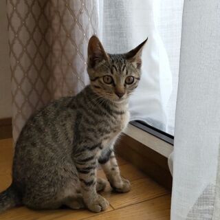 生後4ヶ月・甘えん坊男の子