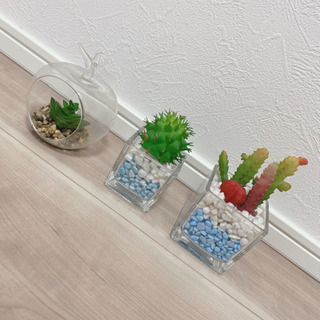 かわいい多肉植物🌿もどき