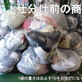 【古着】仕分け前 100kg 卸売販売 個人 転売・副業の画像