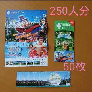 入園券☆城島高原パーク☆５０枚☆２５０名分☆入場券☆遊園地☆大分☆別府