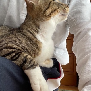 福ちゃん