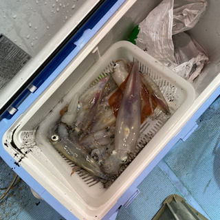 釣り人募集 − 福井県