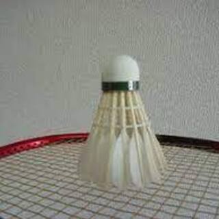 2月14日(土)東郷町総合体育館でバドミントン