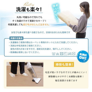 ラグ カーペット ラグマット 洗える  200×250 オールシーズン おしゃれ 新生活 北欧  絨毯の画像