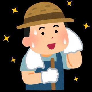 豊川市インター近くで葉っぱの摘み取りなど