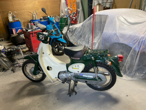 リトルカブ50