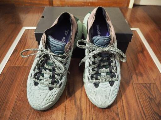 【値下げ】Reebok ZIG KINETICA FW4799