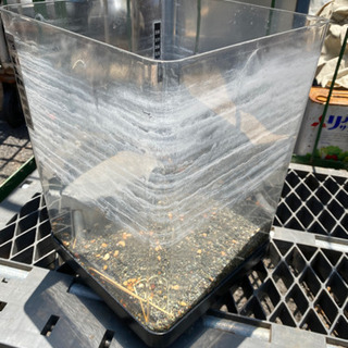 水槽　蓋なし　砂利、石入り　現状品