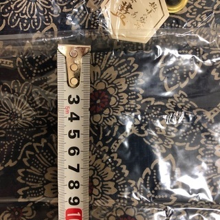 夏のバッグ　新品　未使用の画像