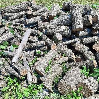 40センチ玉切りアカシア(写真1)  100kg2500円