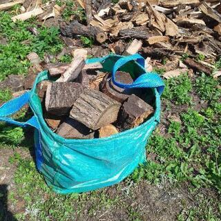 40センチ玉切りアカシア(写真1)  100kg2500円の画像