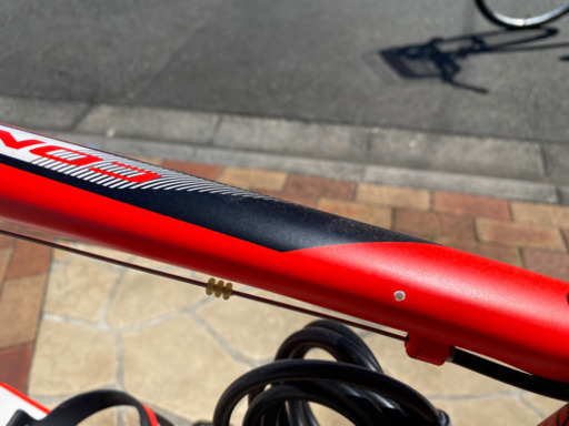 GIANT CONTEND1
