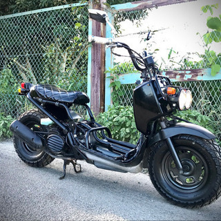HONDA ZOOMER(ズーマー)　AF58　美車　機関良好　横浜 ホンダ ズーマー【1】ワイルドで個性的なスタイルが大人気。その